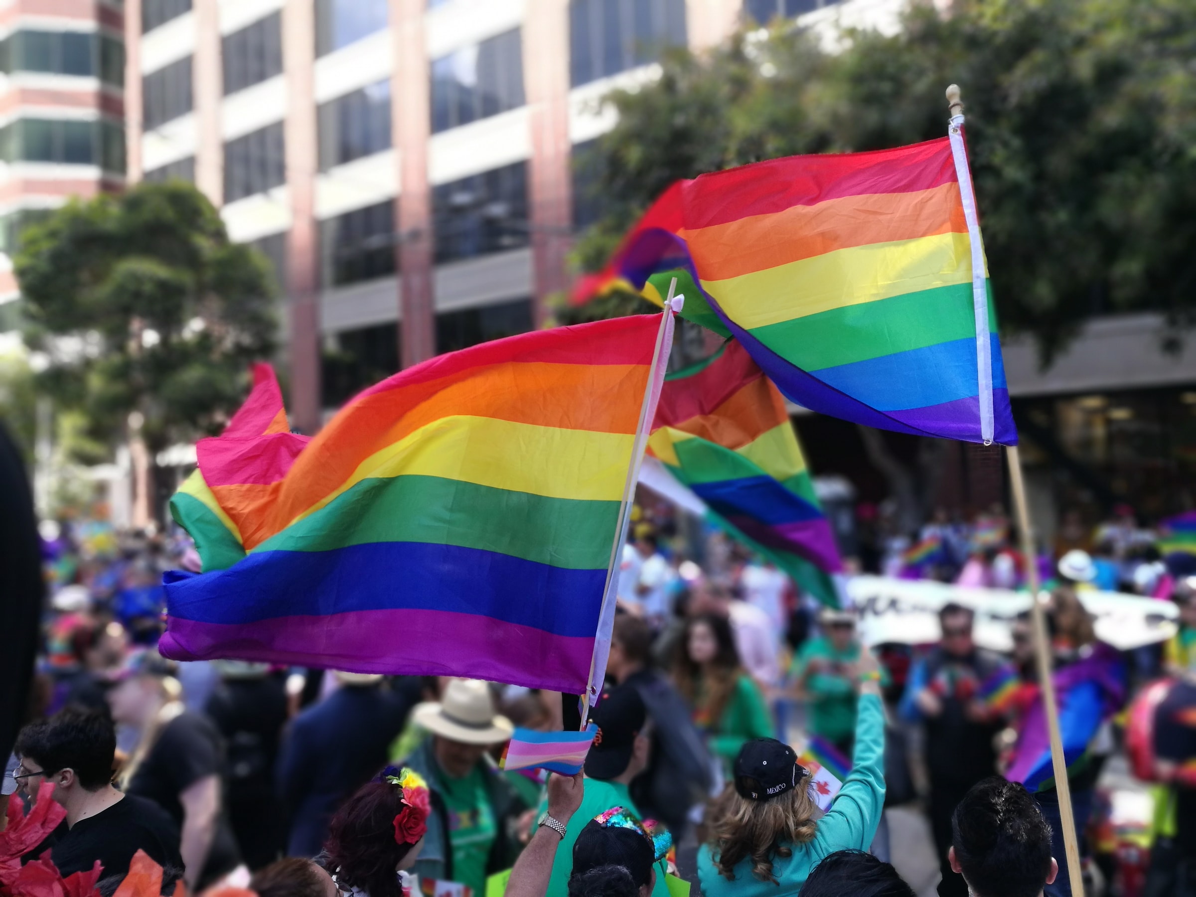 lgbtq flags being waved in a city's pride parade